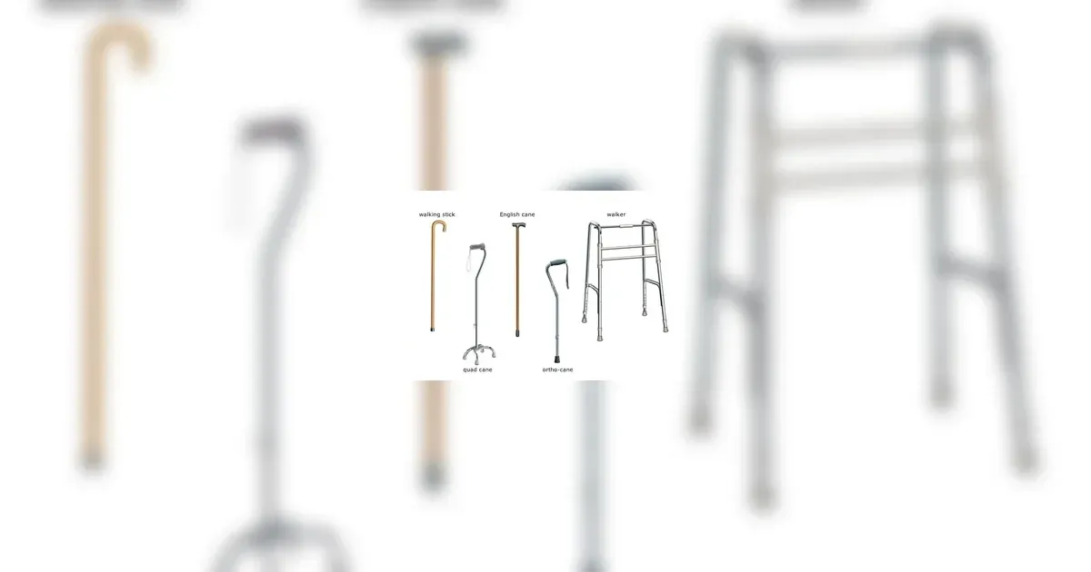 Walking Aids in Nepal – Types, Uses & How to Choose the Right Walking Aid